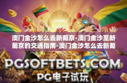 澳门金沙怎么去新葡京-澳门金沙至新葡京的交通指南-澳门金沙怎么去新葡京