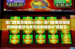 澳门新葡京赌场x3调3-澳门新葡京赌场的神秘面纱与多元化的体验X³调新三-澳门新葡京赌场x3调3