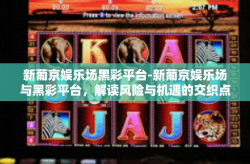 新葡京娱乐场黑彩平台-新葡京娱乐场与黑彩平台，解读风险与机遇的交织点-新葡京娱乐场黑彩平台