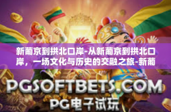 新葡京到拱北口岸-从新葡京到拱北口岸，一场文化与历史的交融之旅-新葡京到拱北口岸