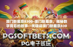 澳门新葡京8300-澳门新葡京，揭秘数字背后的故事—关键词澳门新葡京8300解读-澳门新葡京8300