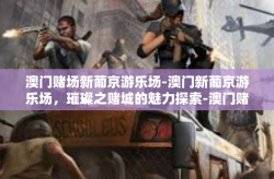 澳门赌场新葡京游乐场-澳门新葡京游乐场，璀璨之赌城的魅力探索-澳门赌场新葡京游乐场