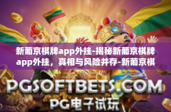 新葡京棋牌app外挂-揭秘新葡京棋牌app外挂，真相与风险并存-新葡京棋牌app外挂