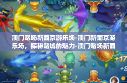 澳门赌场新葡京游乐场-澳门新葡京游乐场，探秘赌城的魅力-澳门赌场新葡京游乐场