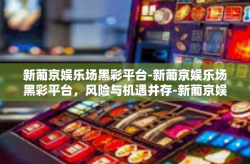 新葡京娱乐场黑彩平台-新葡京娱乐场黑彩平台，风险与机遇并存-新葡京娱乐场黑彩平台
