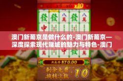 澳门新葡京是做什么的-澳门新葡京—深度探索现代赌城的魅力与特色-澳门新葡京是做什么的