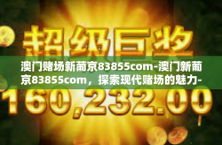 澳门赌场新葡京83855com-澳门新葡京83855com，探索现代赌场的魅力-澳门赌场新葡京83855com