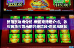 新葡京赌场介绍-新葡京赌场介绍，体验奢华与娱乐的完美结合-新葡京赌场介绍