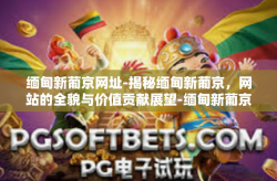 缅甸新葡京网址-揭秘缅甸新葡京，网站的全貌与价值贡献展望-缅甸新葡京网址