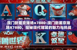澳门新葡京赌场x7880-澳门新葡京赌场X7880，探秘现代赌城的魅力与挑战-澳门新葡京赌场x7880