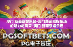澳门 新葡京娱乐场-澳门新葡京娱乐场的魅力与风采-澳门 新葡京娱乐场
