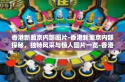香港新葡京内部图片-香港新葡京内部探秘，独特风采与惊人图片一览-香港新葡京内部图片