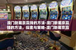 澳门新葡京赢钱的方法-澳门新葡京赢钱的方法，探索与策略-澳门新葡京赢钱的方法