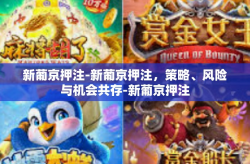新葡京押注-新葡京押注，策略、风险与机会共存-新葡京押注