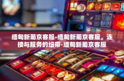 缅甸新葡京客服-缅甸新葡京客服，连接与服务的纽带-缅甸新葡京客服