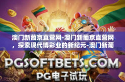 澳门新葡京直营网-澳门新葡京直营网，探索现代博彩业的新纪元-澳门新葡京直营网