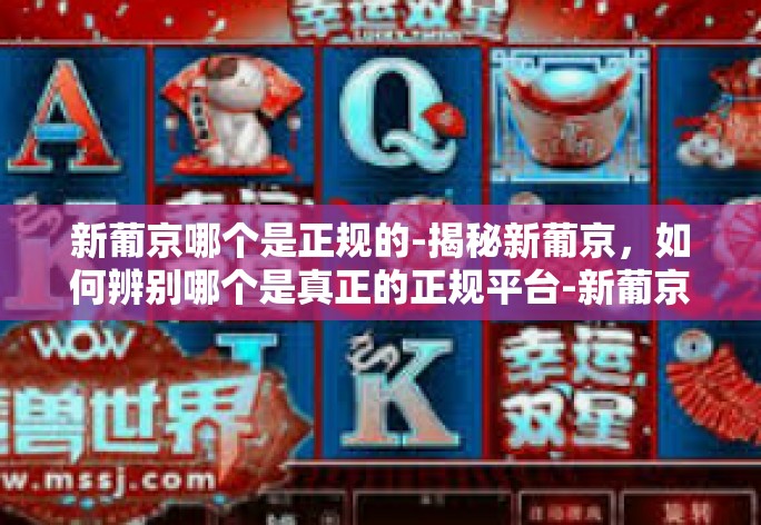 揭秘新葡京,如何辨别哪个是真正的正规平台