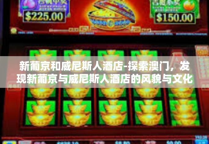 新葡京和威尼斯人酒店-探索澳门，发现新葡京与威尼斯人酒店的风貌与文化之旅-新葡京和威尼斯人酒店